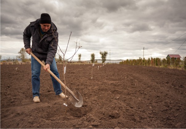 Правила посадки Правила посадки