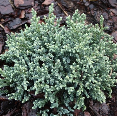 Основное изображение товара