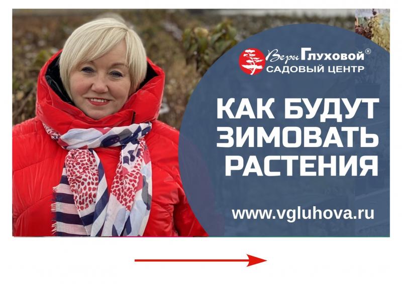 Как будут зимовать растения в Садовом Центре