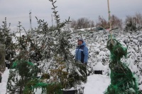 Подготовка к зиме в Садовом центре.