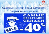 Садовый центр предлагает новогодние пихты со скидкой 40%