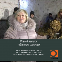 Хранение гортензий в горе-холодильнике