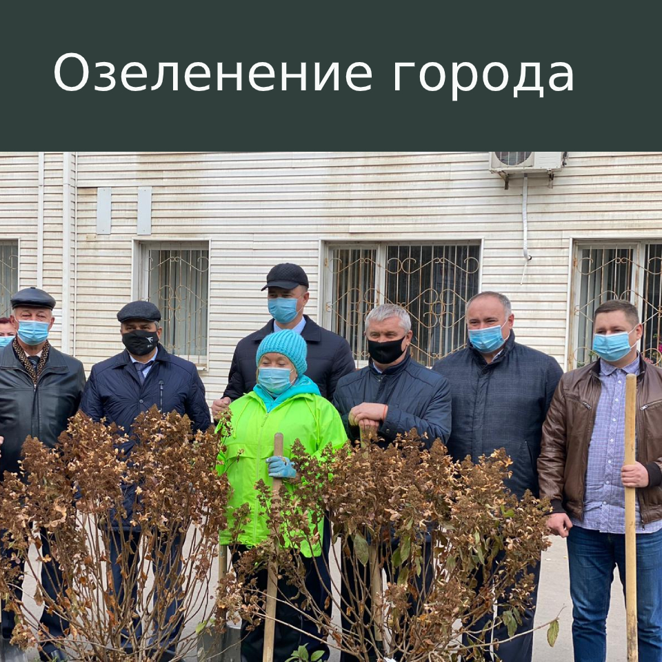 Совместно с волонтерским центром мы продолжаем акцию по озеленению города Совместно с волонтерским центром мы продолжаем акцию по озеленению города