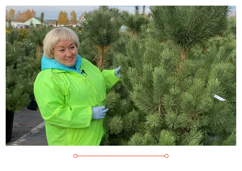 Россия 1 новый выпуск от 08.10.21