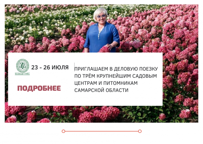 ПУТЕШЕСТВУЕМ С "ЗЕЛЕНОЙ СТРЕЛОЙ"