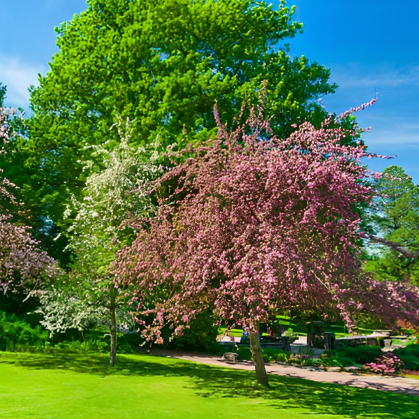 Основное изображение товара