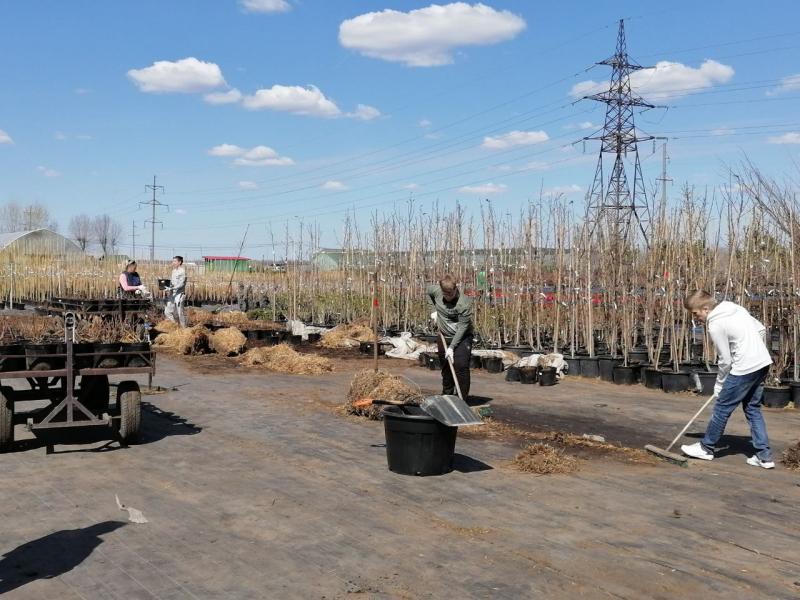 Помощь волонтеров от Думы городского округа Самары в Садовом центре