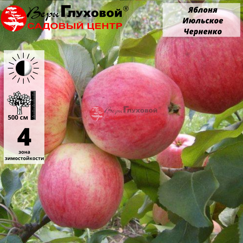 Основное изображение товара