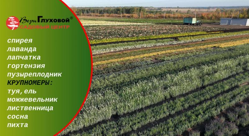 Новое видео на нашем канале YouTube 