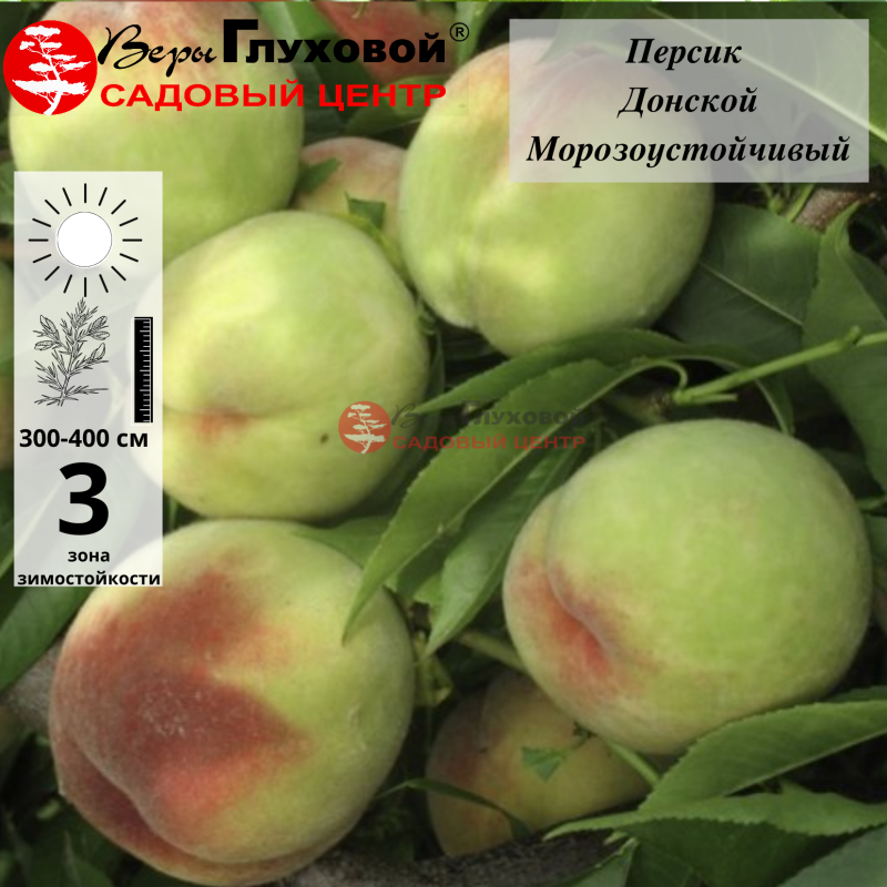 Персик Донской морозоустойчивый