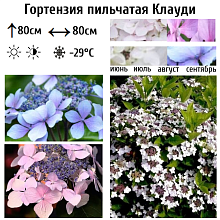 Основное изображение товара