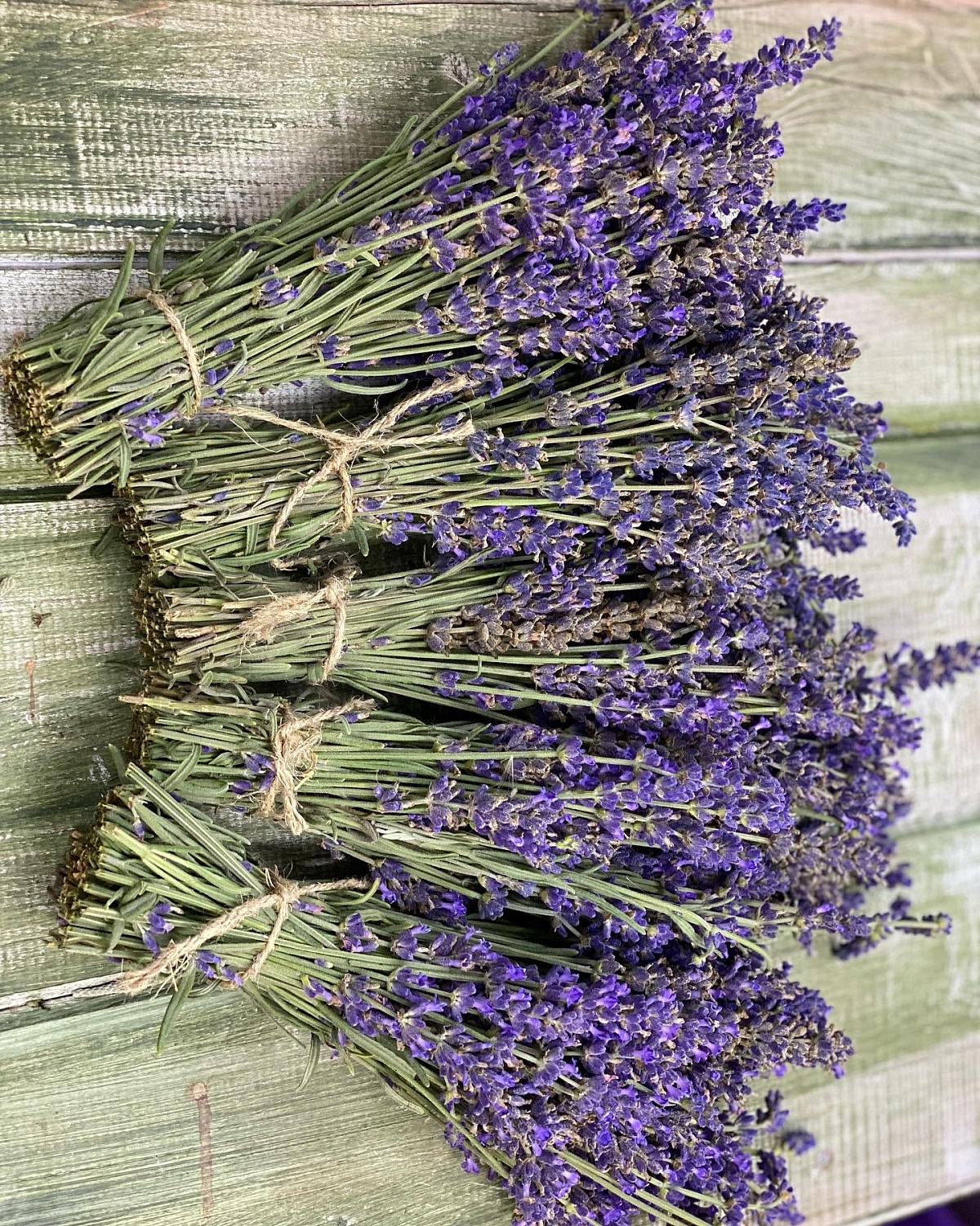 В продаже букетики лаванды от 100 руб.