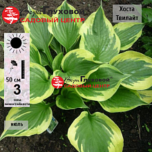 Основное изображение товара