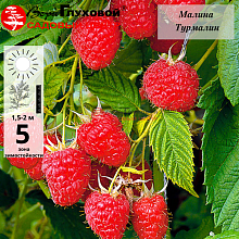 Рисунок 171.jpg