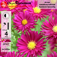 Основное изображение товара