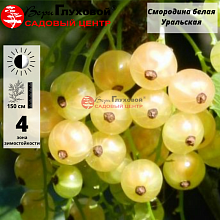 Основное изображение товара