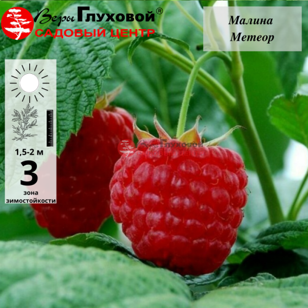 Рисунок 142.jpg