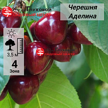 Основное изображение товара