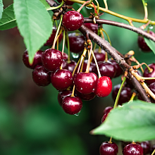 Рисунок 30.jpg