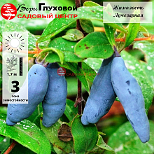 Основное изображение товара