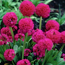 Основное изображение товара