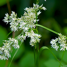 Основное изображение товара