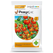 Ревус