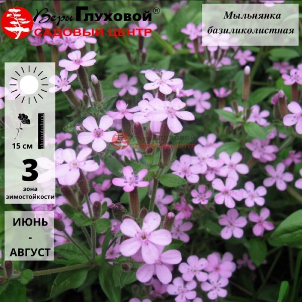 Основное изображение товара